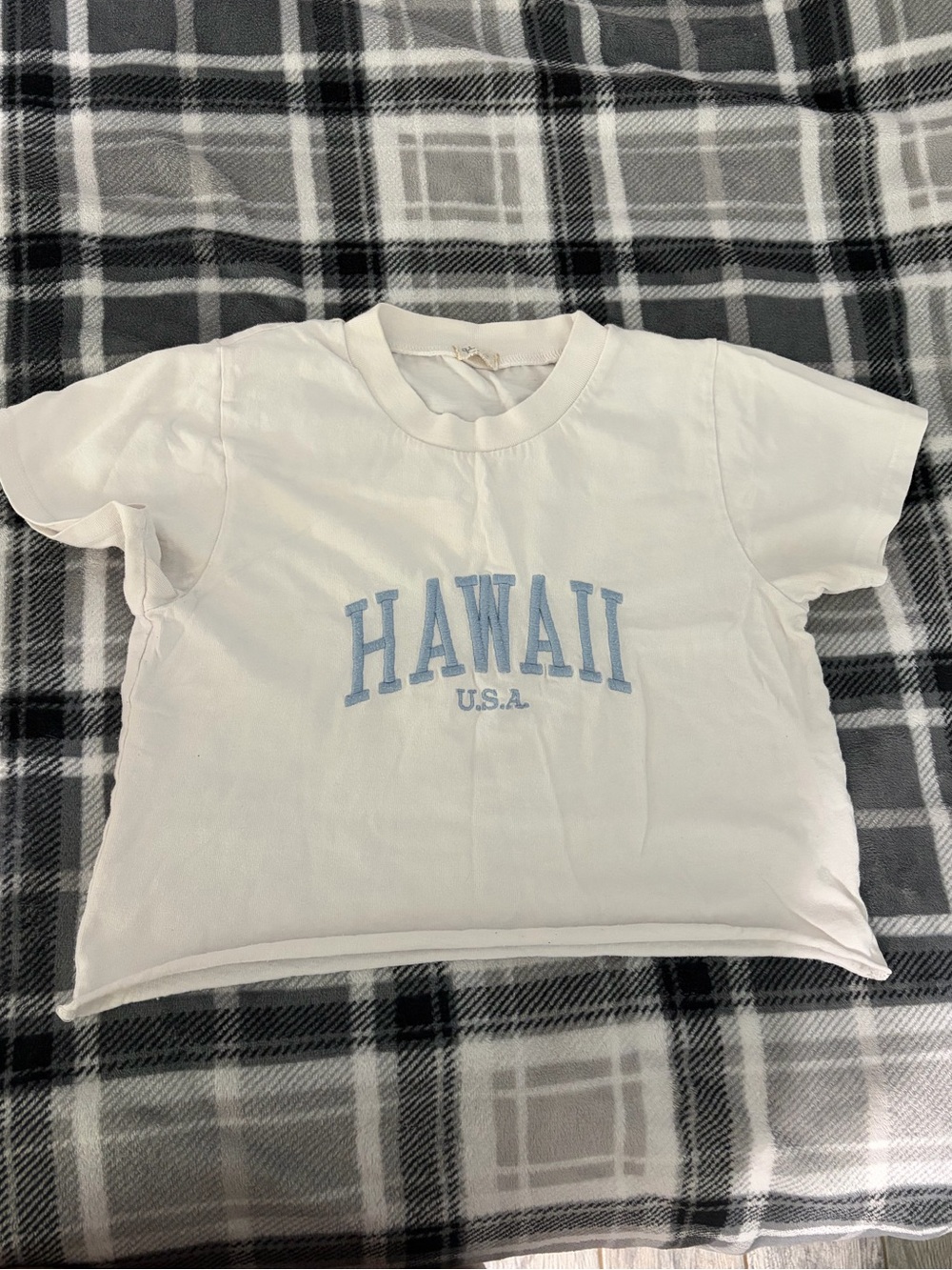 Brandy Melville shirt